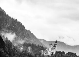 Bayer Leverkusen Bayern München: Welche Überraschungen Stehen Bevor?