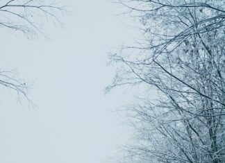 Das Wetter In München: Entdecke Überraschende Wettertrends Heute