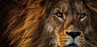 S Bahn München Live: Entdecke Echtzeit-Infos Für Stressfreies Reisen