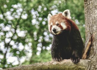 München Wetter 7 Tage: Spannende Prognosen Für Ihr Perfektes Wochenende