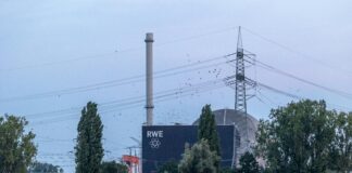 Rwe Gegen 1860 München: Spannendes Duell Mit Überraschendem Ausgang