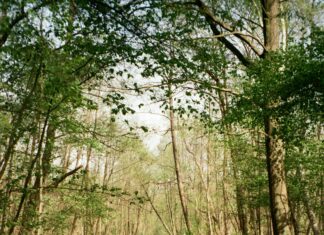 Union Berlin Gegen FC Bayern München: Wer Gewinnt Das Spannende Duell?