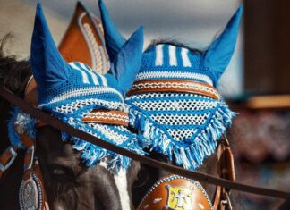 Oktoberfest In München: Entdecke Die Geheimtipps Für Dein Erlebnis