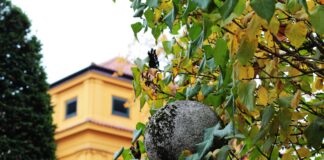 Wetter München 16 Tage: Wie Wird Das Klima In Der Zukunft?