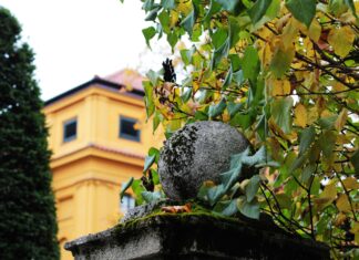 Teilnehmer SC Freiburg Gegen FC Bayern München Tabelle – Spannende Analyse!