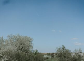 Vr Bank München Land: Entdecken Sie Die Vorteile Und Services!