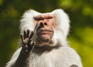 Wetter München 30 Tage: Spannende Prognosen Für Dein Perfektes Wetterplanung