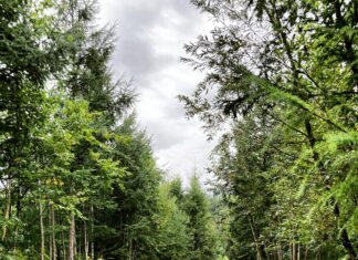 10-Tage-Wetter In München: Wie Wird Das Wetter In Kürze?