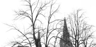 B&B München City Nord Entdecken: Warum Dieses Hotel Ein Geheimtipp Ist