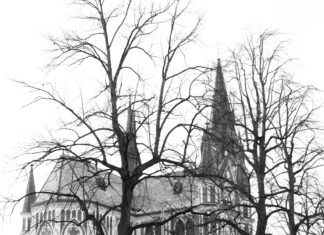 B&B München City Nord Entdecken: Warum Dieses Hotel Ein Geheimtipp Ist