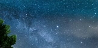 Dynamo Vs. 1860 München: Spannendes Duell Oder Überraschung?