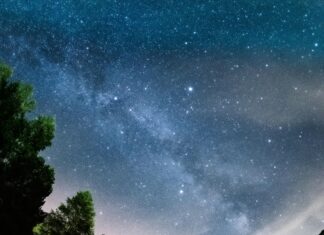 Dynamo Vs. 1860 München: Spannendes Duell Oder Überraschung?