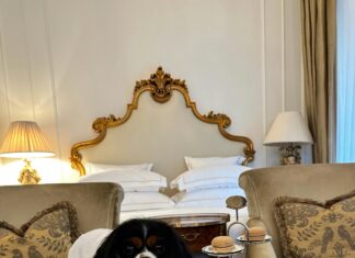 Hotel The Charles München: Entdecken Sie Das Geheimnis Luxus Hotels