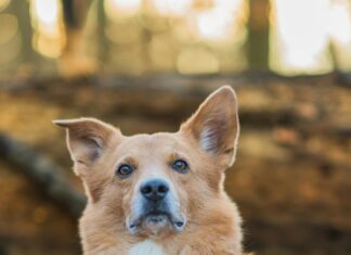 16 Tage Wetter München: Wie Wird Das Klima Für Deinen Plan?