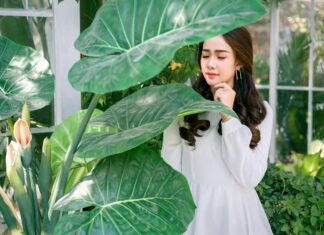 Wetter München 10 Tage: Wie Wird Das Klima In Der Stadt?