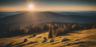 Berg im Bayerischen Wald: Unberührte Natur und Erholung pur