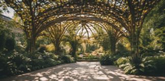 Botanischer Garten München: Geheimtipps für Naturerlebnis und Entspannung