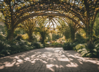 Botanischer Garten München: Geheimtipps für Naturerlebnis und Entspannung