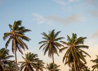 Wie buche ich die städtische Eishalle außerhalb der Stoßzeiten