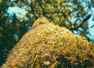 Wie schnappe ich mir einen Schließfachplatz in der ZHB