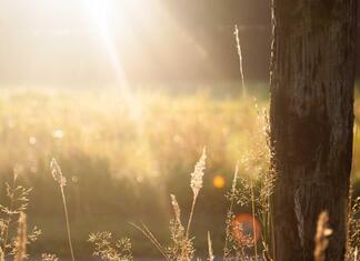 Entdecken Sie die charmante Altstadt von Landsberg am Lech