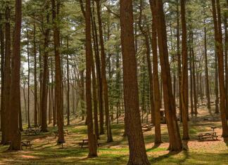 Sperrmüll in München kostenlos anmelden – einfache Entsorgung sichern