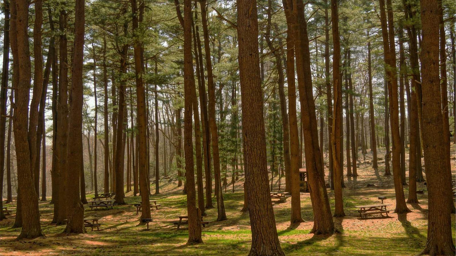 Sperrmüll in München kostenlos anmelden – einfache Entsorgung sichern