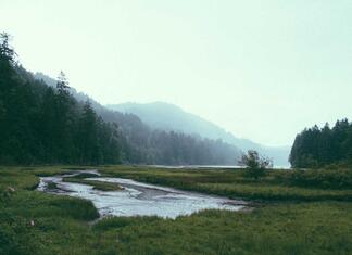 Mülltonnen in München: Einfach die passende Größe wechseln