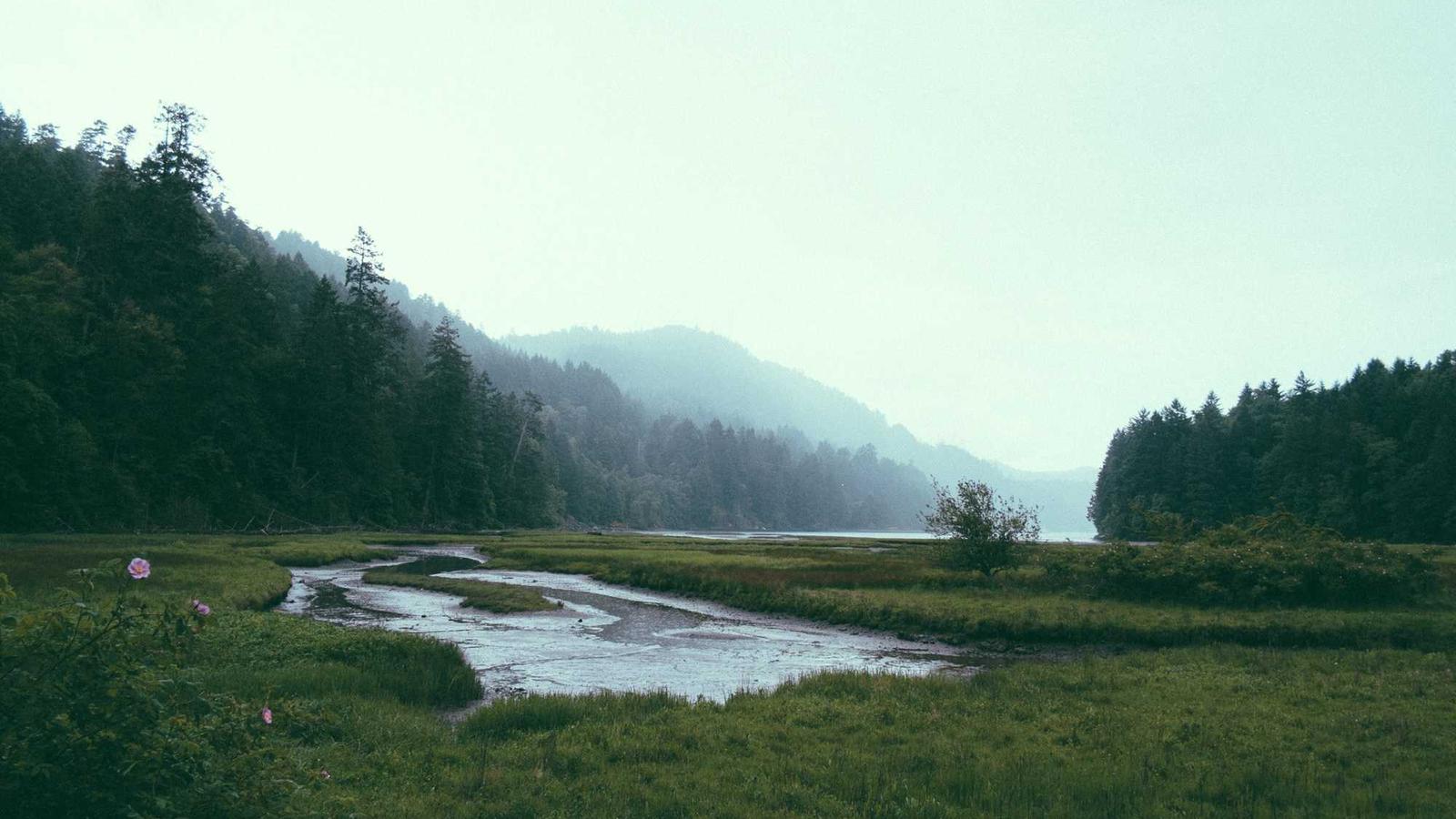 Mülltonnen in München: Einfach die passende Größe wechseln