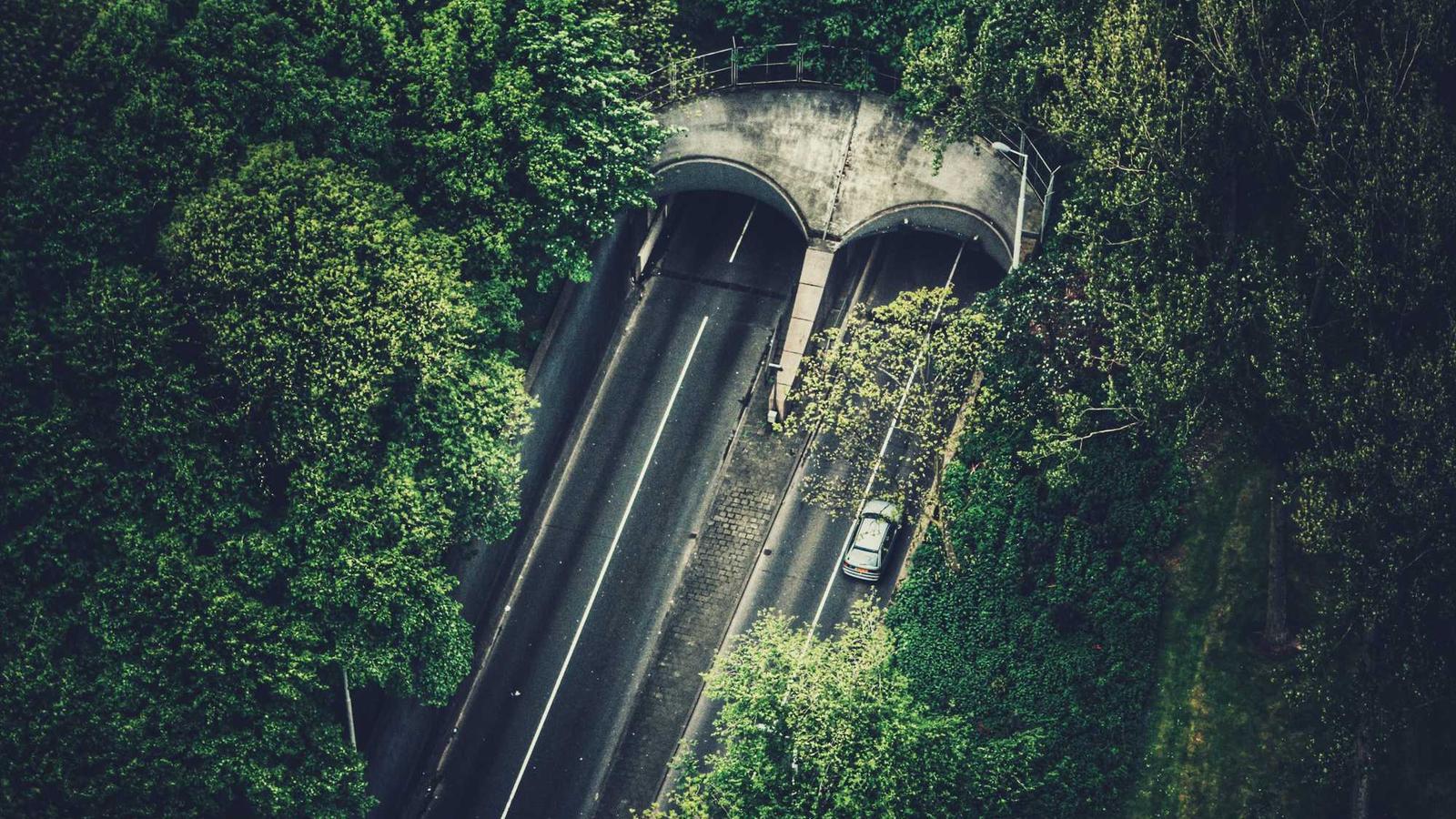 Gelber Sack München: Termine für die Abholung im Überblick