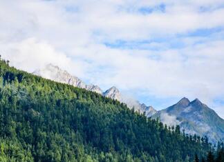 Vergleich der besten Umzugsunternehmen in München für stressfreien Umzug