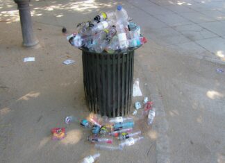 Effektive Mülltrennung in München: So richtig sortieren Sie