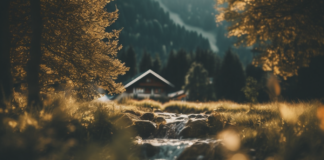 Reit im Winkl: Entdecken Sie das Chiemgau-Juwel für Natur und Erholung