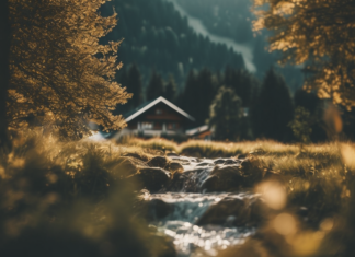 Reit im Winkl: Entdecken Sie das Chiemgau-Juwel für Natur und Erholung