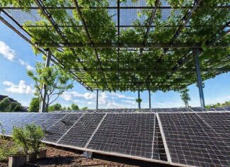 Solaranlagen in München: Förderung nutzen und Kosten sparen