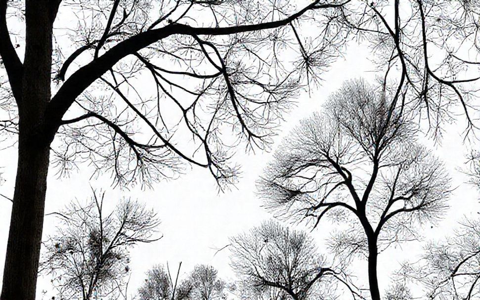 Theoretische Hintergründe und Praxisbeispiele für die Opferschutzbemühungen des Weißer Ring