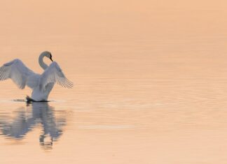 Wassersparen in München durch einfache Veränderungen