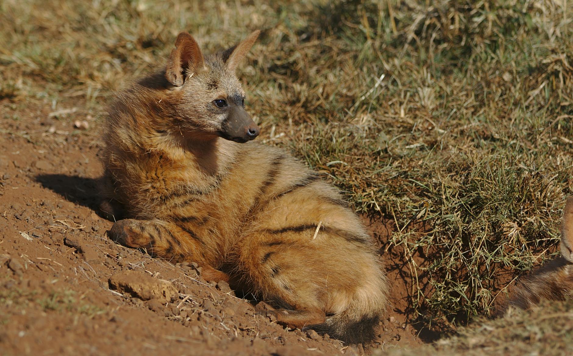 Die 5 besten Tipps für Eltern, ihren Kindern den Erfolg zu fördern