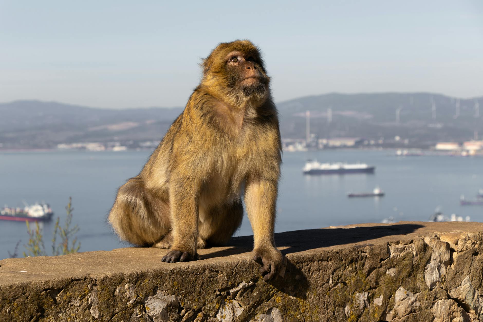 The Truth About richtigem Laufschuhkauf für Marathonläufer