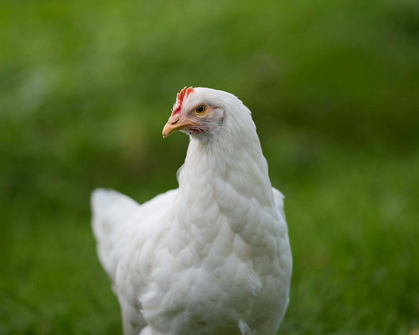 X 5 Wege um deine Läufergebnisse mit Intervalltraining zu steigern