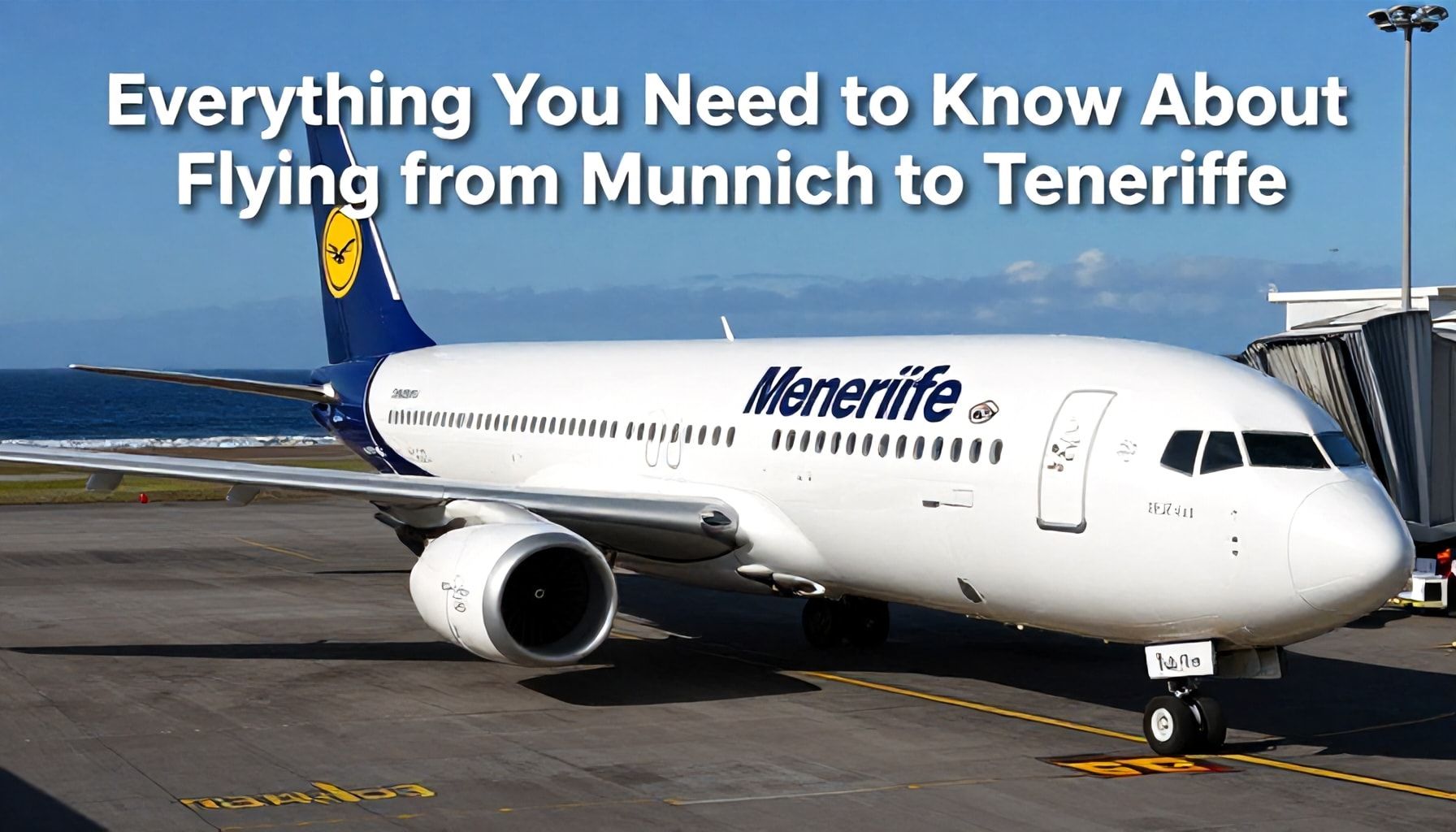 Alles, was Sie über den Flug wissen müssen