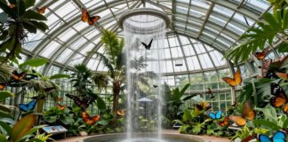 Neue Schmetterlingshaus im Botanischen Garten München eröffnet