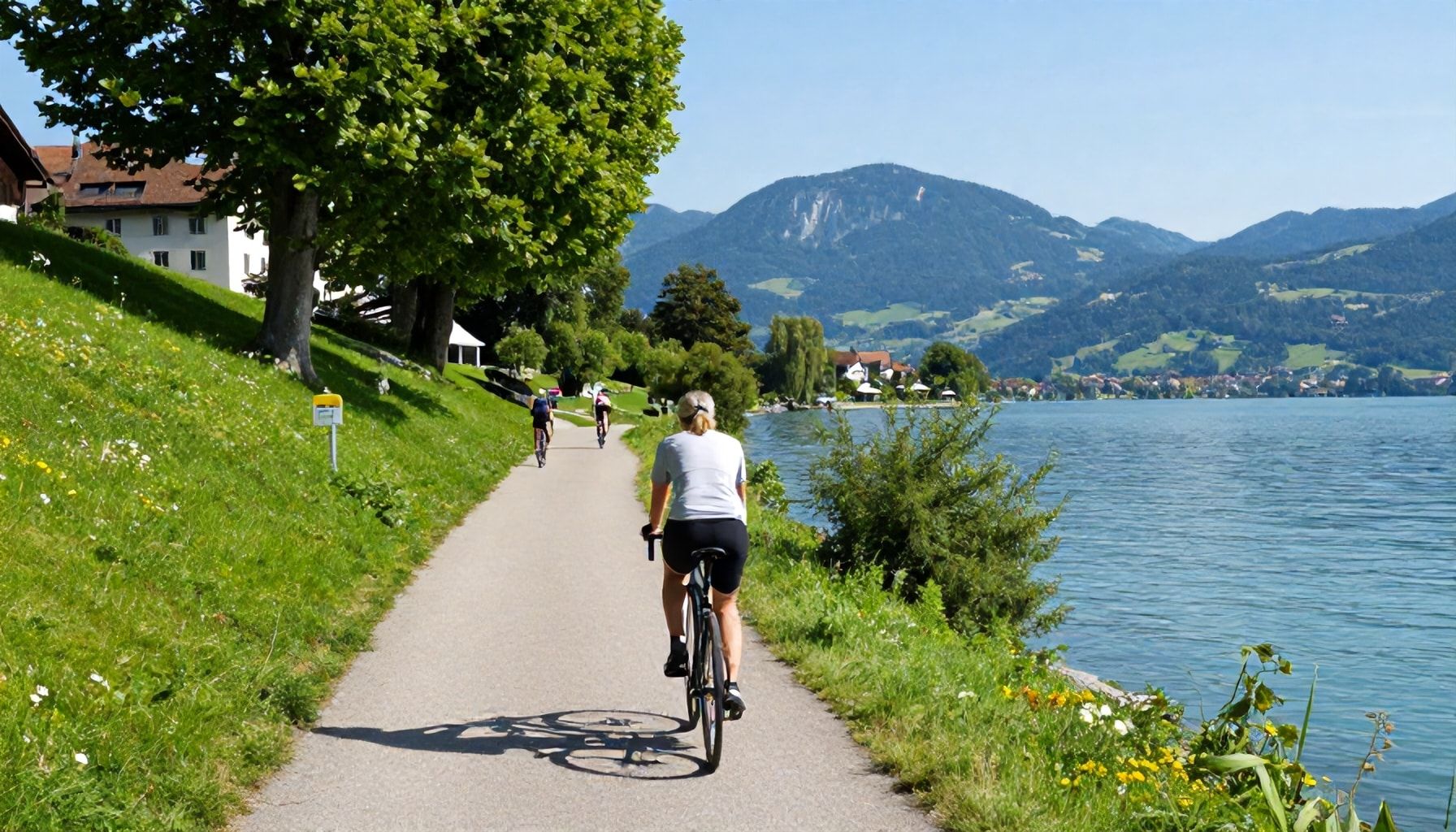 Die Entstehung des Bodensee-Radwegs