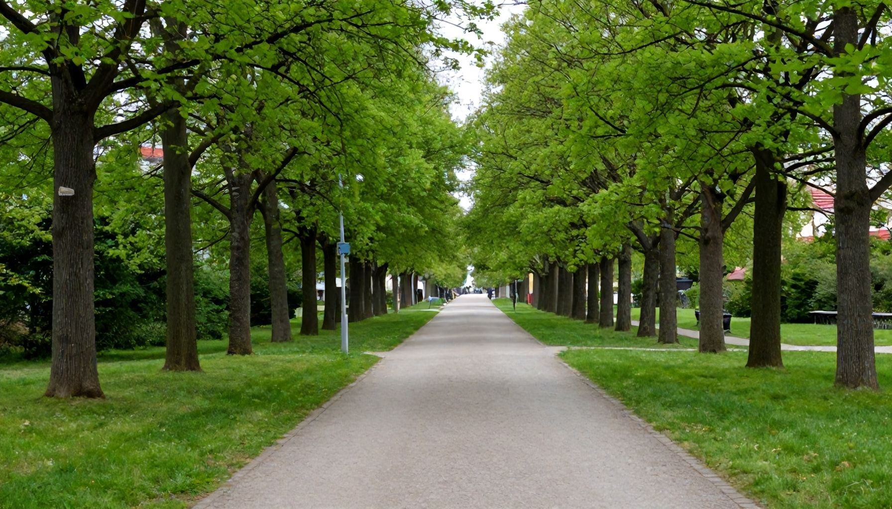 Ein grüner Korridor entsteht