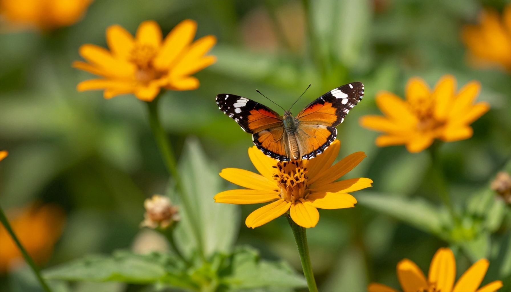 Ein lebendiges Paradies für Naturliebhaber