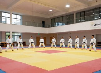 Karate in München: Eine Übersicht über Vereine und Dojos