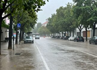 Regen in München: 15 Liter pro Quadratmeter erwartet