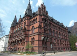 FC Bayern Amateure: Erfolgreich in der Regionalliga Bayern