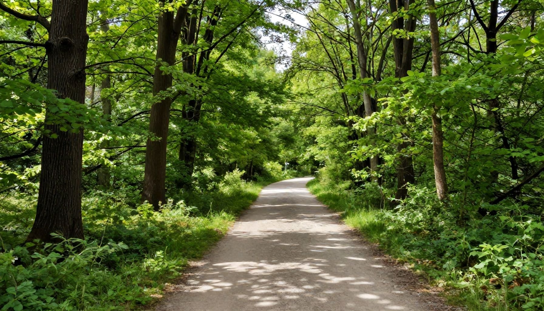 Warum Sie die Trails im Schwabing-Park nicht verpassen sollten