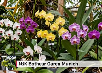 Botanischer Garten München feiert 200 Jahre mit seltenen Orchideen-Ausstellung
